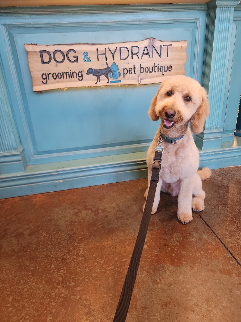 Dog & Hydrant photo 5