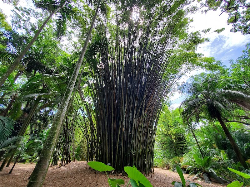 Harry P Leu Gardens photo 2