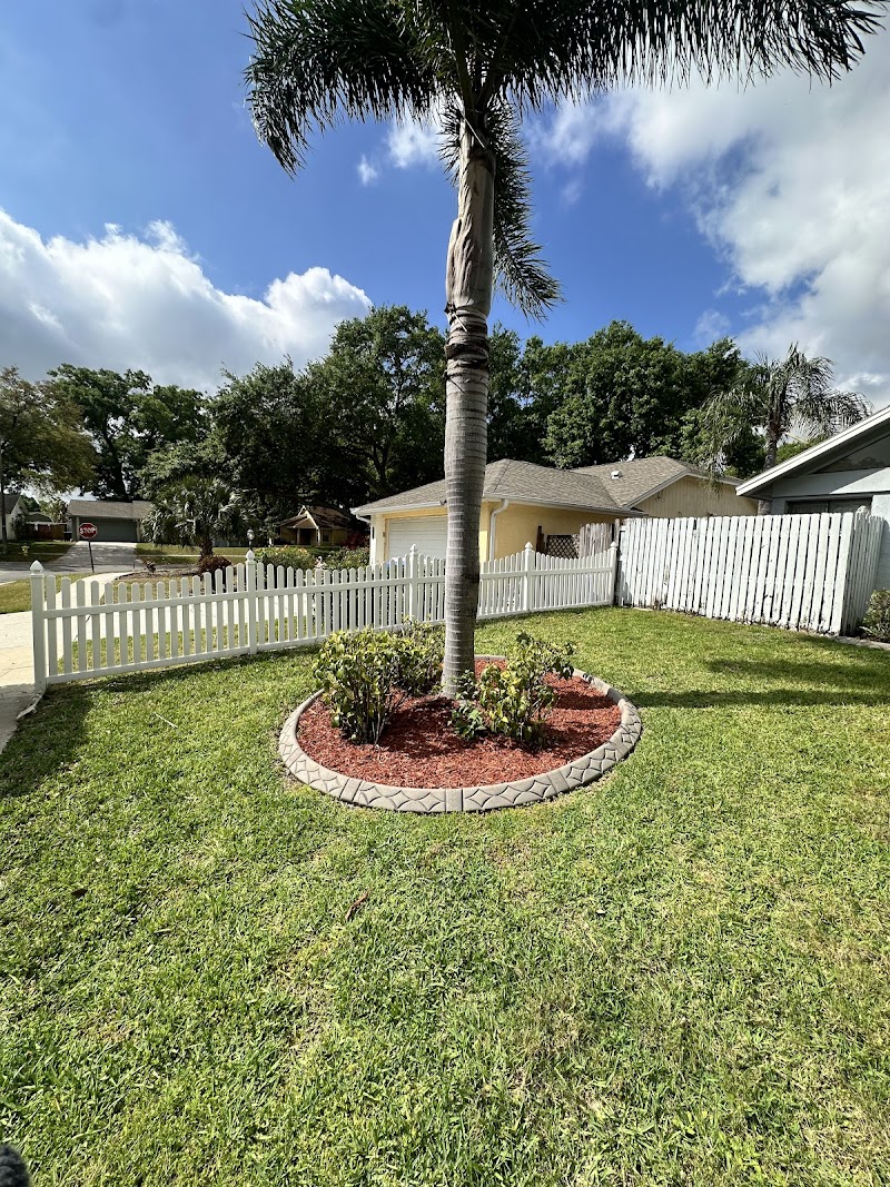 Mikey Mows Lawn Maintenance LLC photo 5