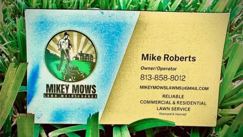 Mikey Mows Lawn Maintenance LLC photo 3