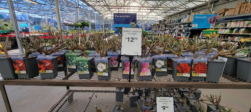 Best Buy photo 3