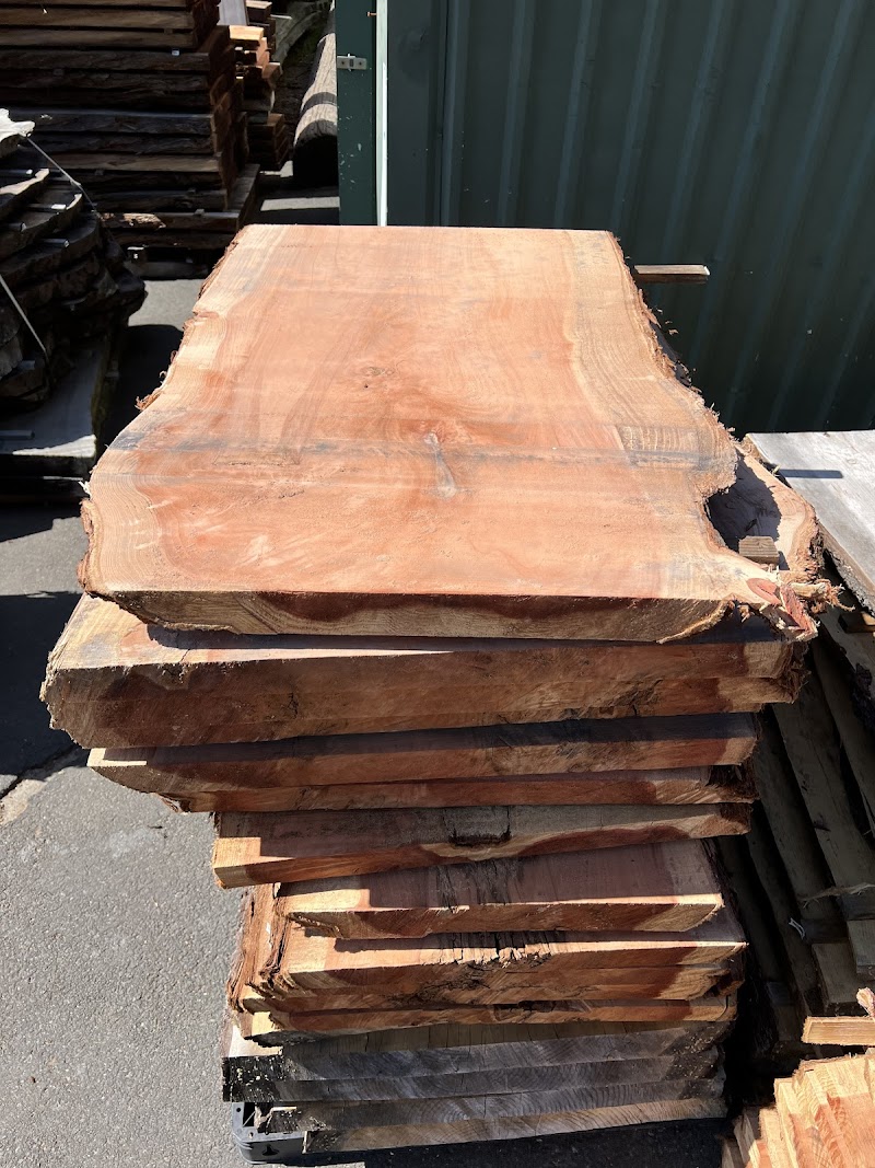 Eric Christopher Art - Live Edge Wood Slabs photo 4