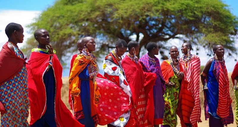 Paramount Safaris photo 5