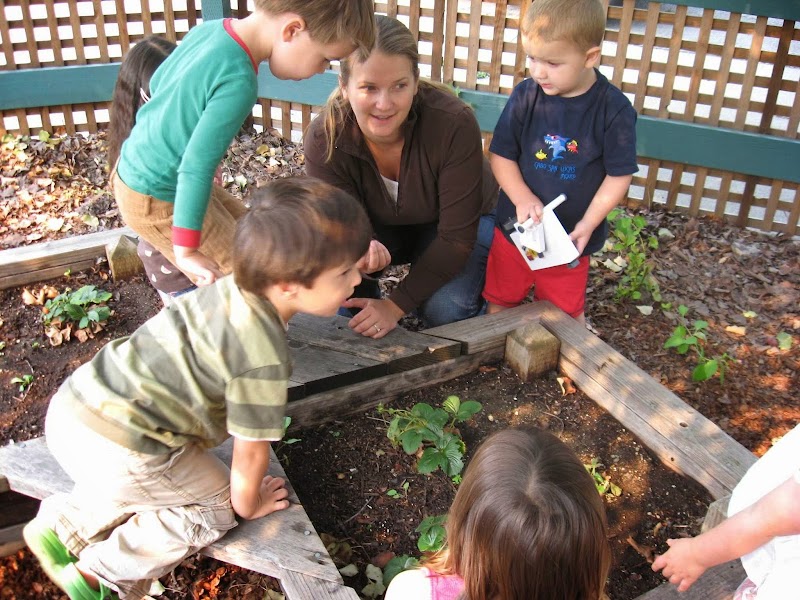 Petaluma Village Preschool photo 3