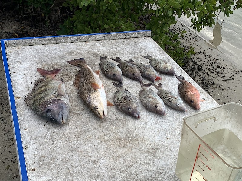 X-Head Fishing Charters photo 5