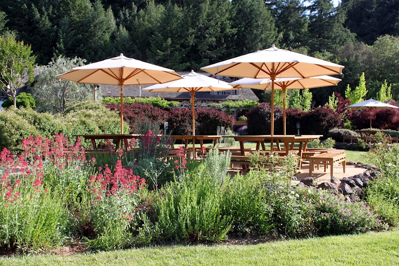 Lambert Bridge Winery photo 5