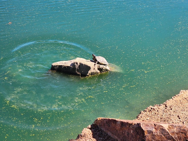 Sahuarita Lake Park - Town of Sahuarita photo 5