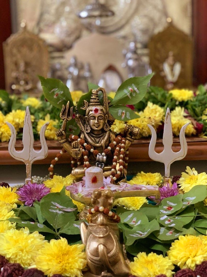 Photo of Astrologer Psychic Spritual Healer, Psychic Reading - Best Astrologer in New York