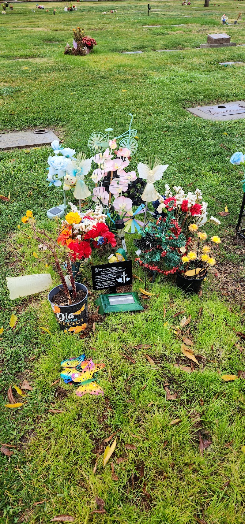Fremont Memorial Park photo 5