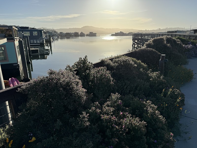 Otis Redding Dock photo 5