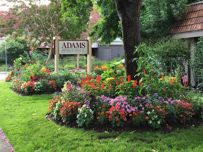 Photo of Adams Chiropractic Neurology Group
