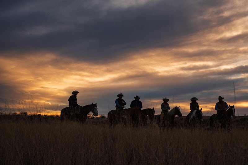 Photo of Circle Z Ranch