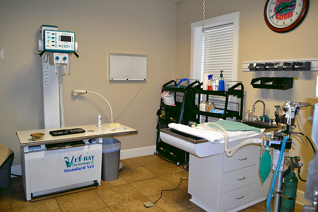 Bell Shoals Animal Hospital photo 4