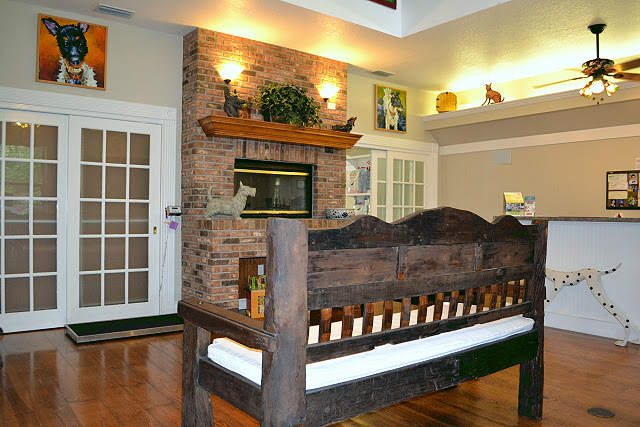 Bell Shoals Animal Hospital photo 5