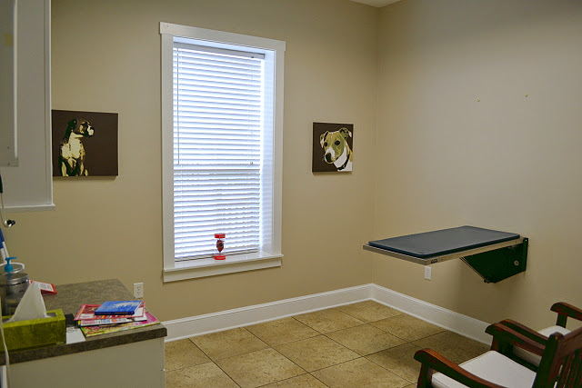 Bell Shoals Animal Hospital photo 3