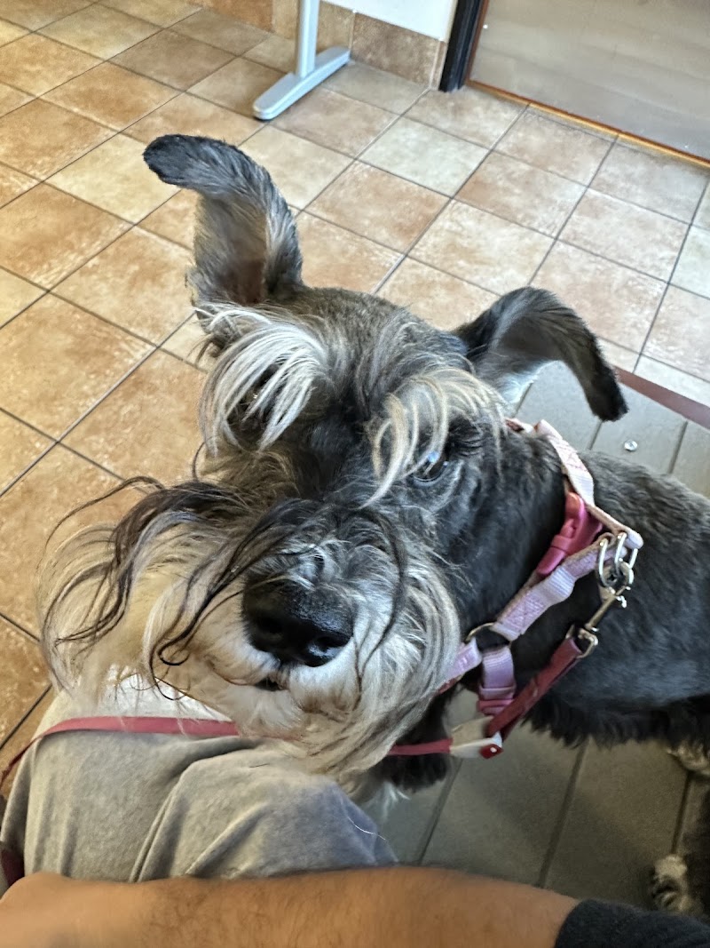PetSmart Veterinary Services - Dublin photo 3