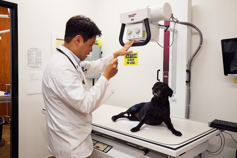Photo of PetSmart Veterinary Services - Dublin