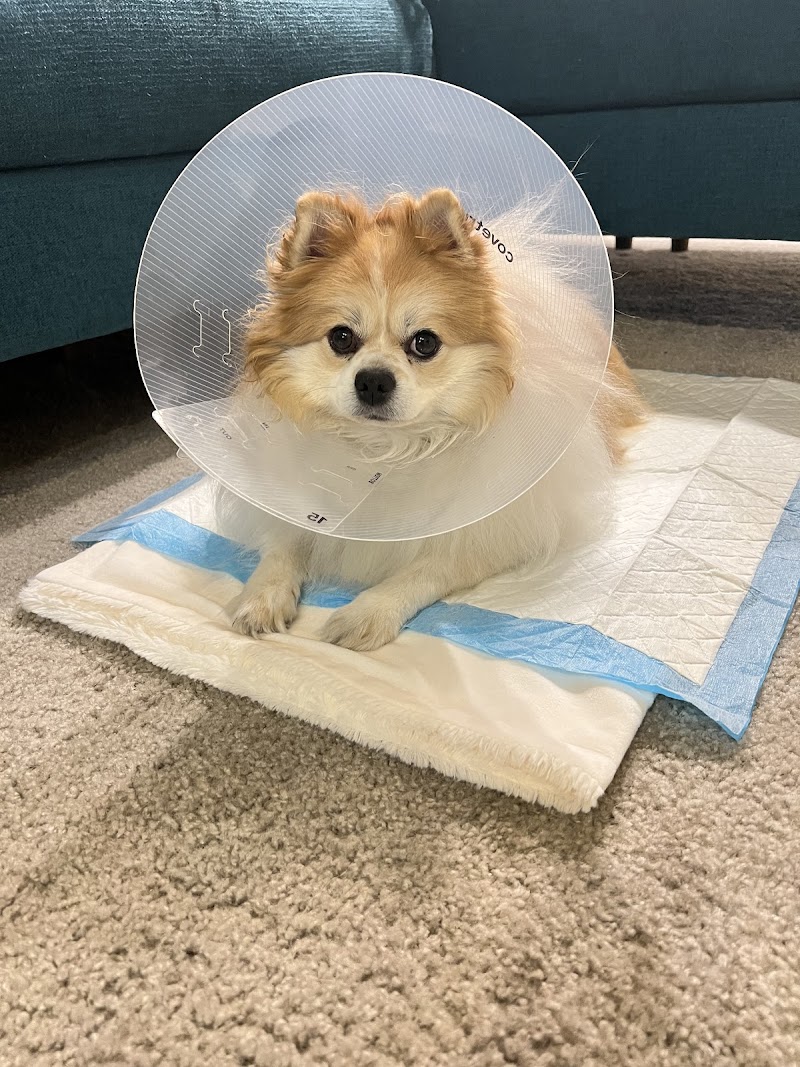PetSmart Veterinary Services - Dublin photo 2