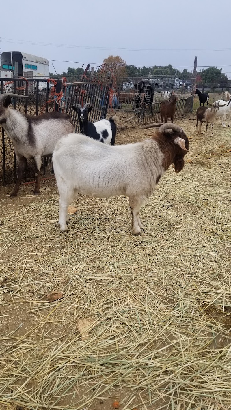 Mugumo Farm photo 3
