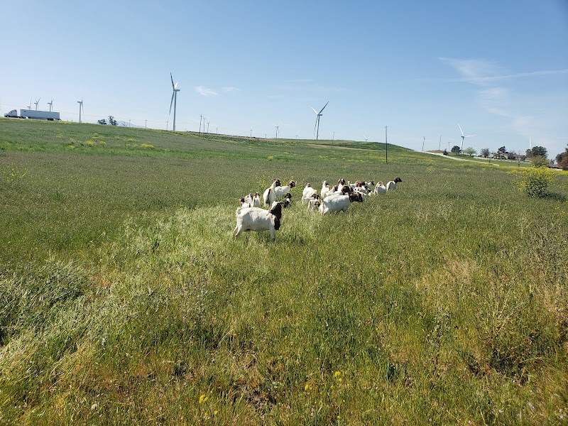 Photo of Mugumo Farm