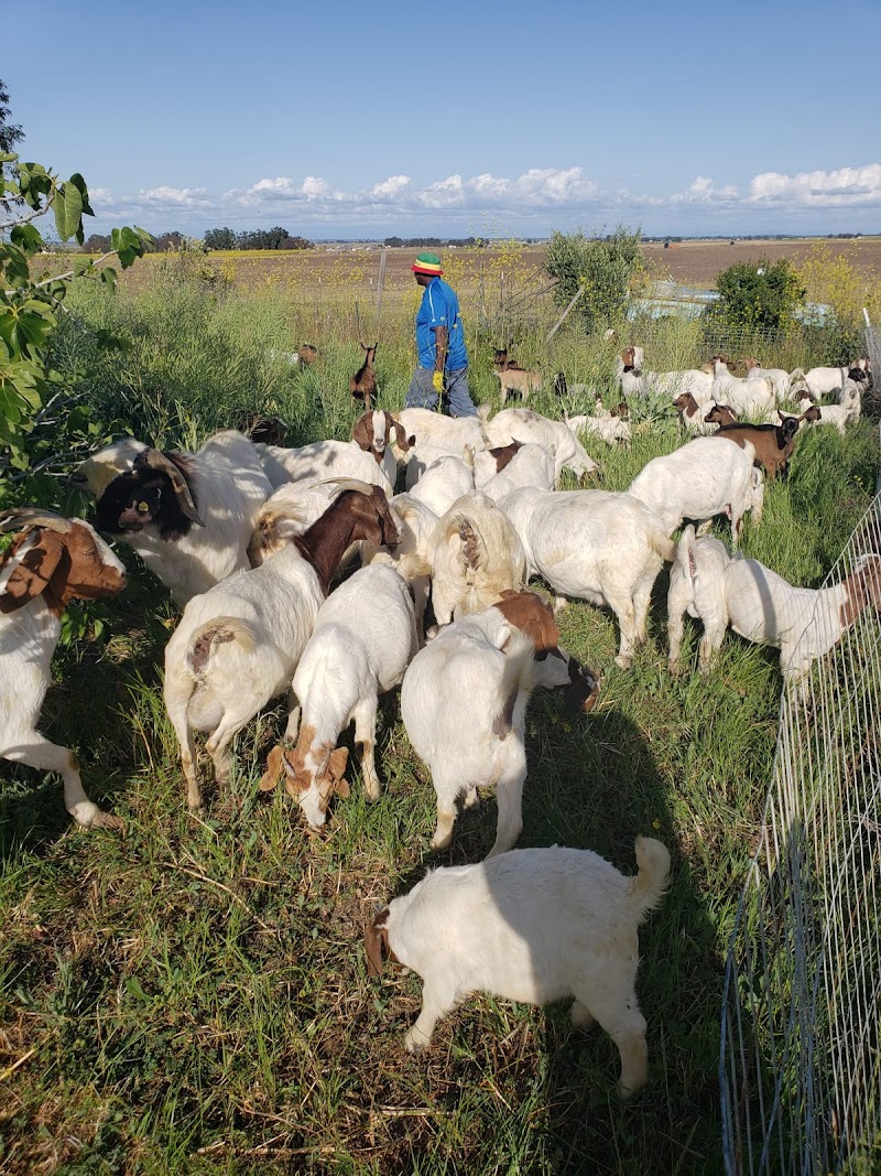 Mugumo Farm photo 5