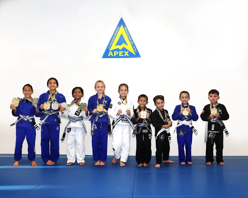 Apex Brazilian Jiu Jitsu Academy Vacaville photo 2