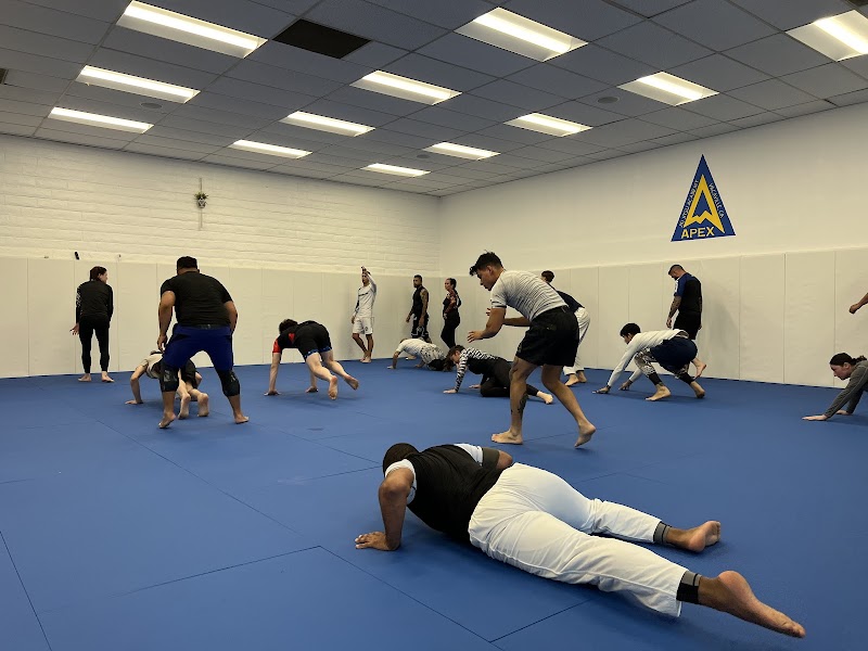 Photo of Apex Brazilian Jiu Jitsu Academy Vacaville