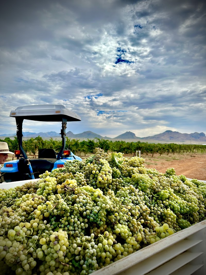 Callaghan Vineyards photo 3