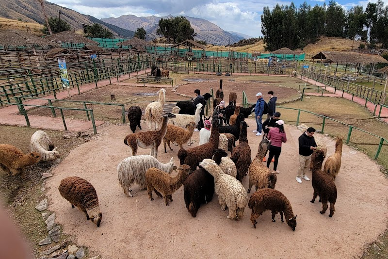 Best Peru Tours photo 3