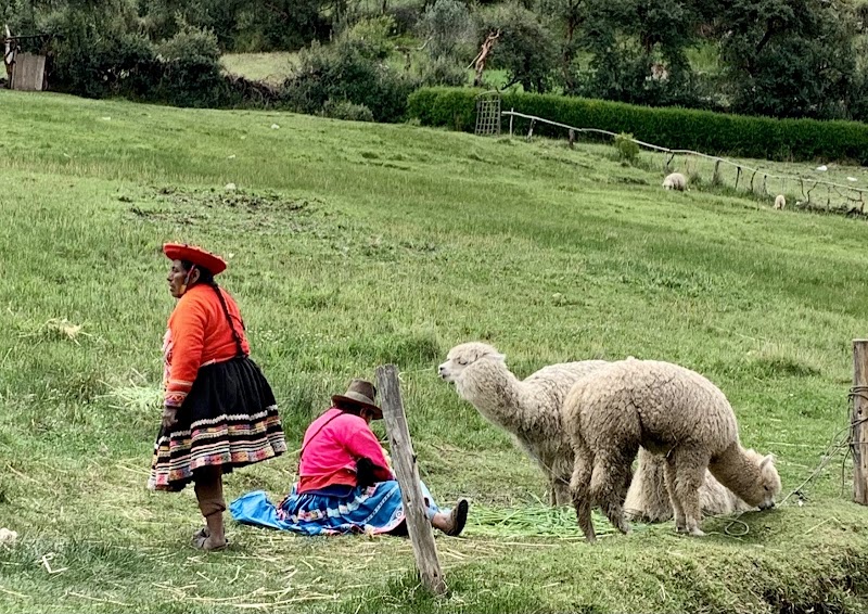 Best Peru Tours photo 5