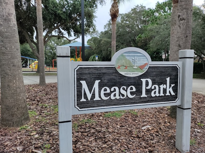 Mease Park photo 2
