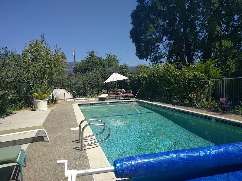 Bear Flag Inn photo 3
