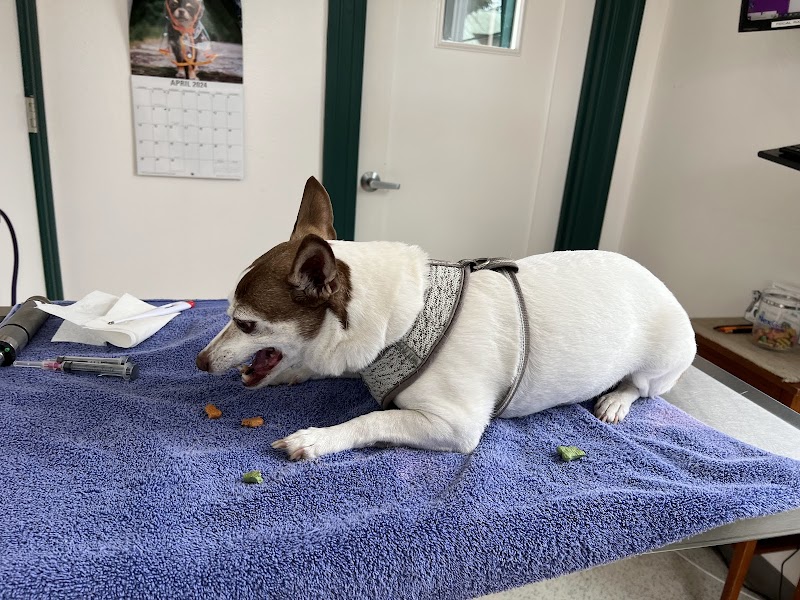 Animal Hospital of Sebastopol photo 2