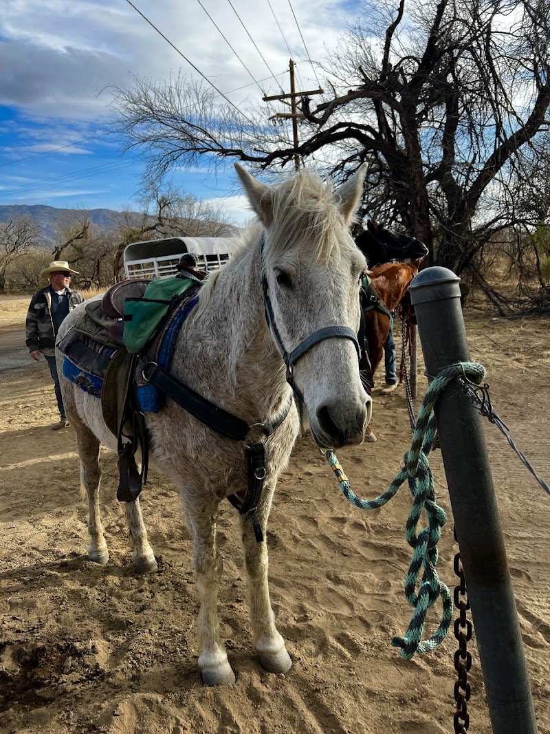 Rockin B Bar T Ranch LLC photo 3
