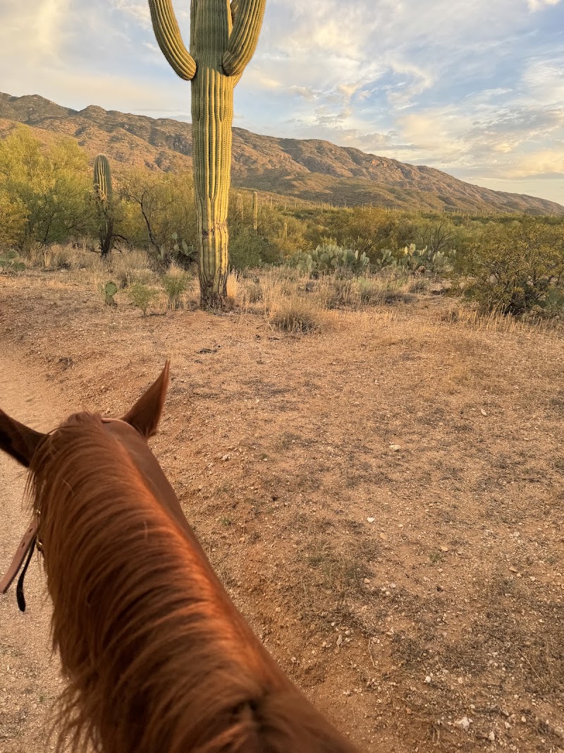 Rockin B Bar T Ranch LLC photo 5