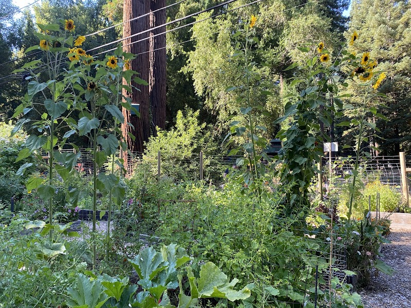 Sunrise Garden - Rio Nido Organic Community Center photo 2