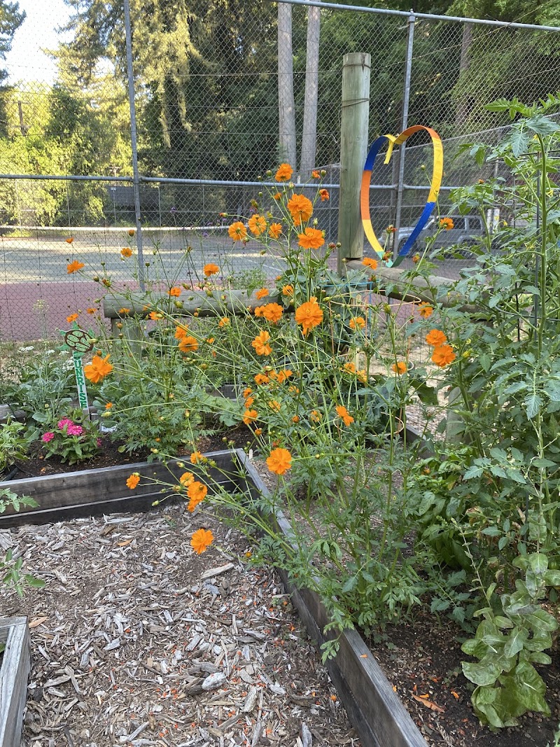 Sunrise Garden - Rio Nido Organic Community Center photo 5
