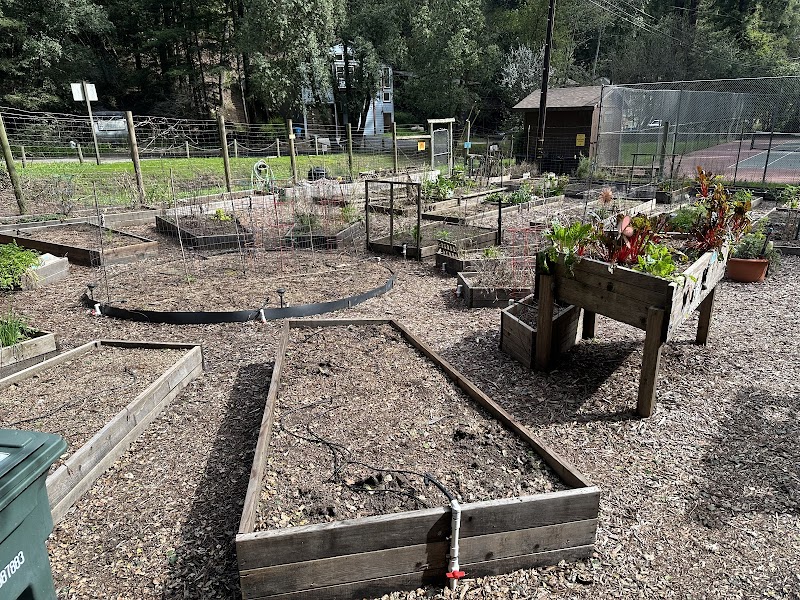 Sunrise Garden - Rio Nido Organic Community Center photo 3