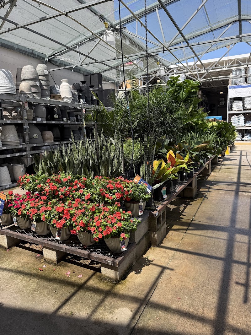 Lowe's Garden Center photo 5