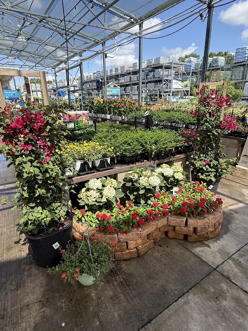 Lowe's Garden Center photo 3
