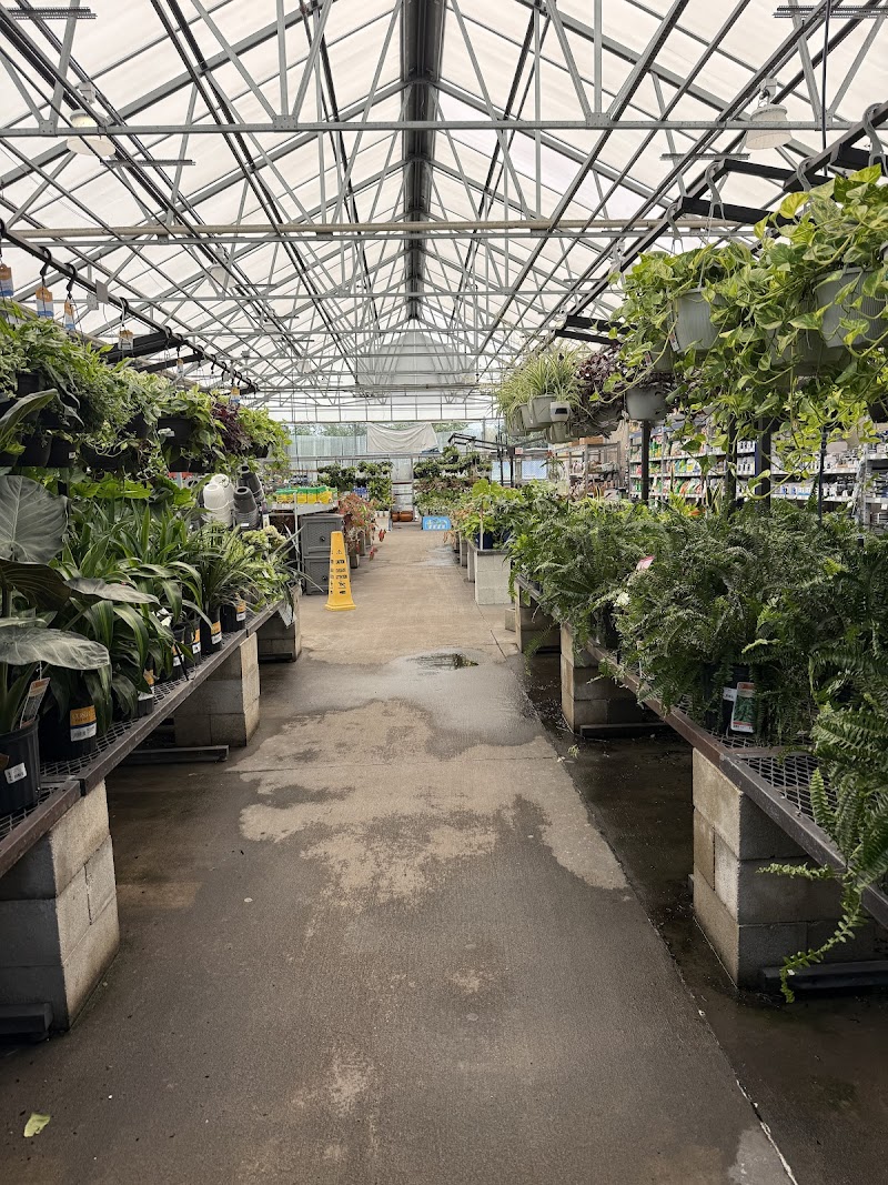 Lowe's Garden Center photo 4