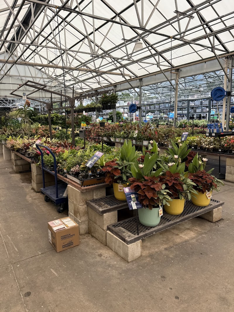 Lowe's Garden Center photo 2