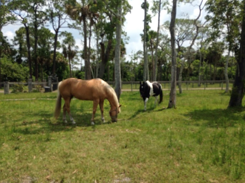 Old Dixie Farm & Stables photo 2