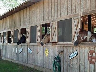 Old Dixie Farm & Stables photo 4