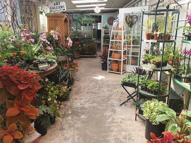 Photo of Shelldance Orchid Gardens