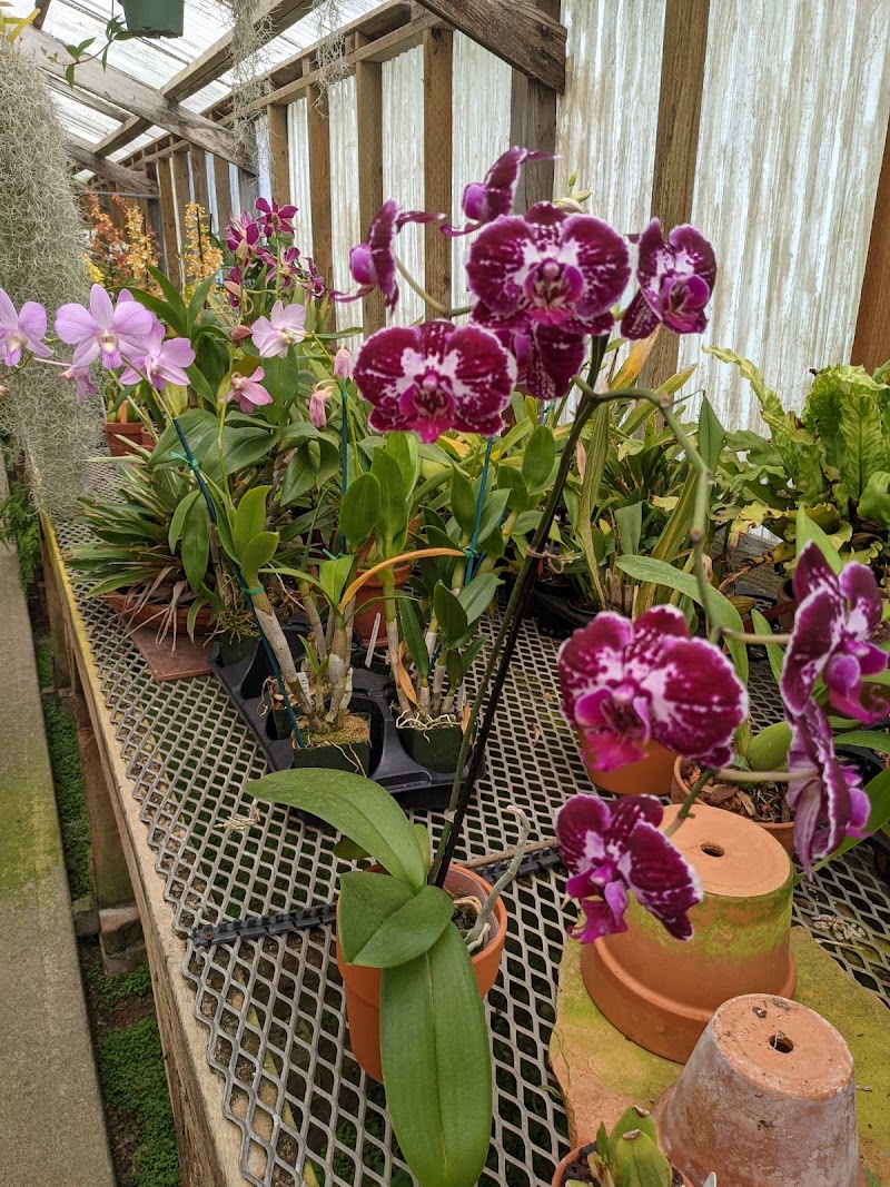 Shelldance Orchid Gardens photo 5