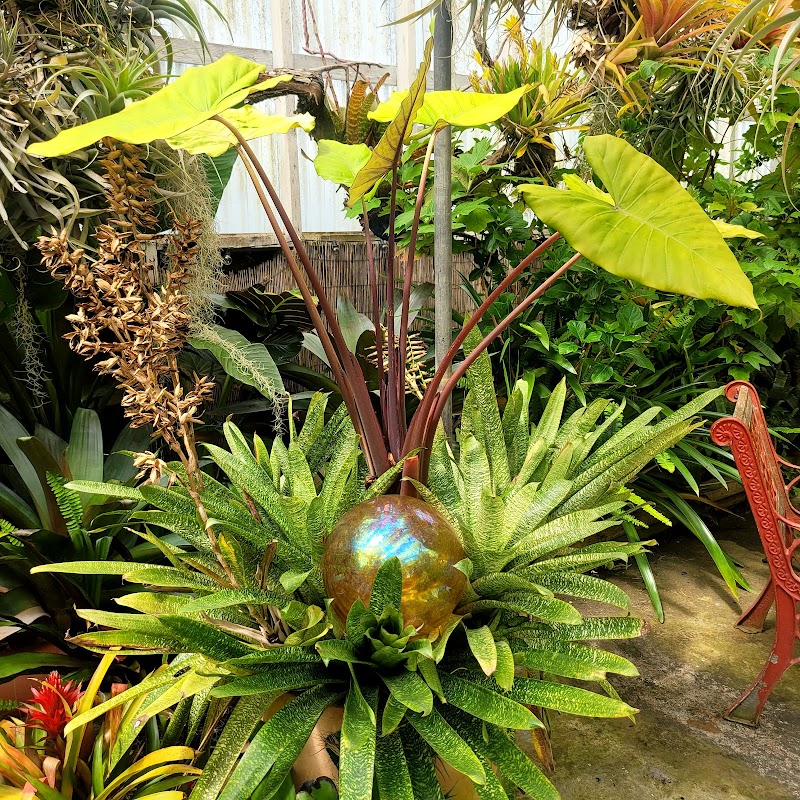 Shelldance Orchid Gardens photo 4