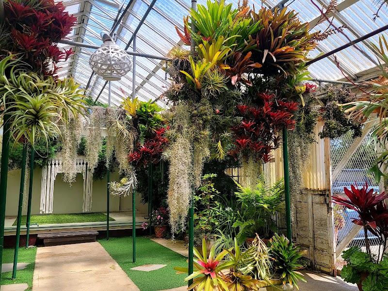 Shelldance Orchid Gardens photo 2