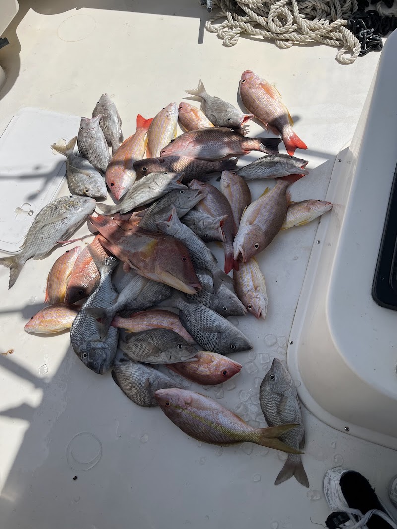 Westbound Sportfishing photo 3