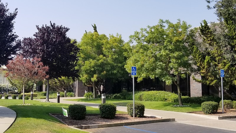 California Eastern Lab photo 2